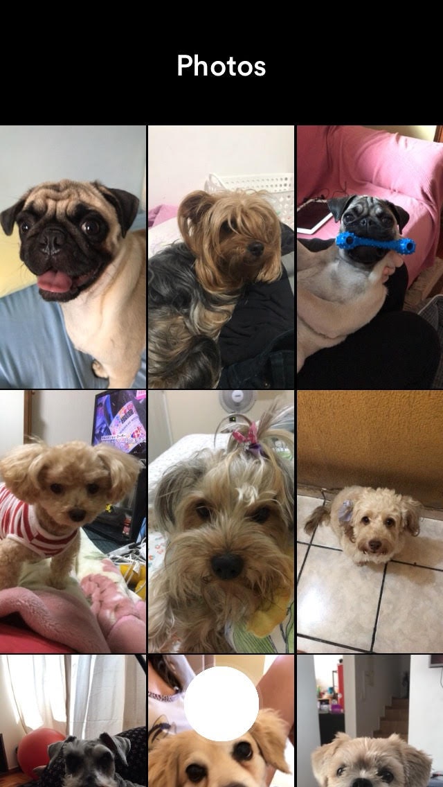 Wagcam 1.5 gallery image