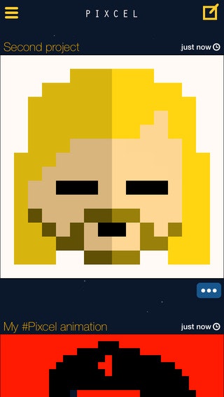 Pixcel gallery image