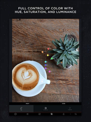 MuseCam gallery image