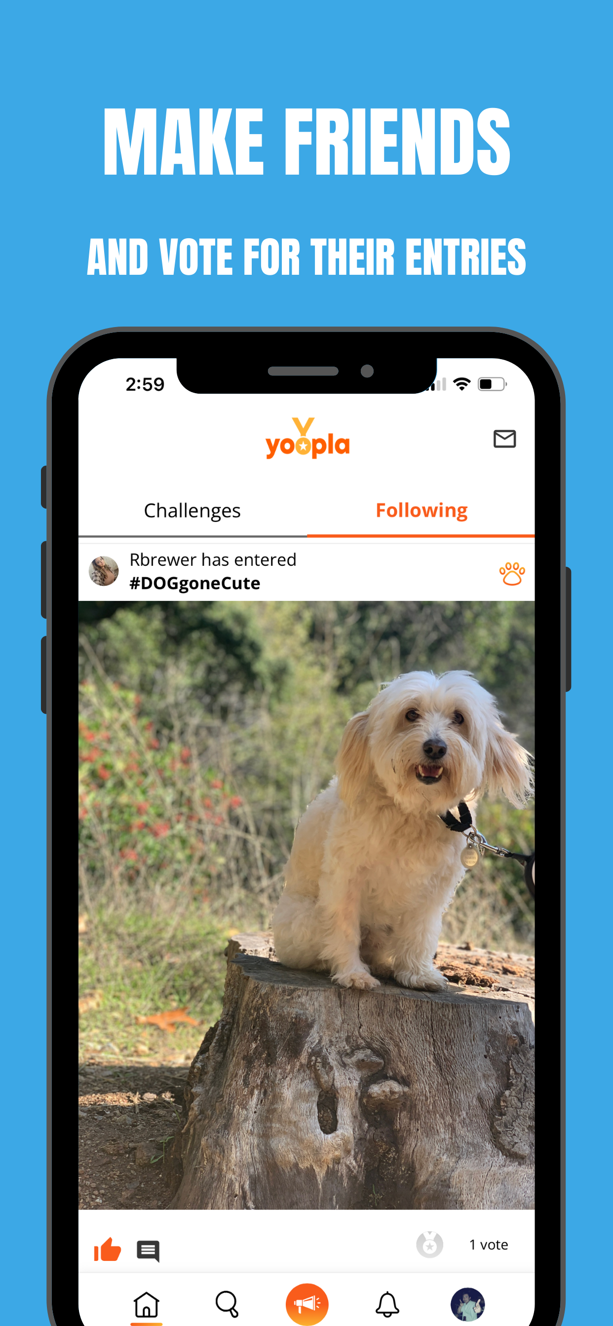 Zoopla media 5