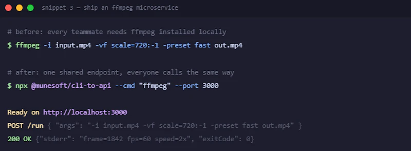 cli-to-api screenshot 5