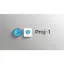 Proj-1