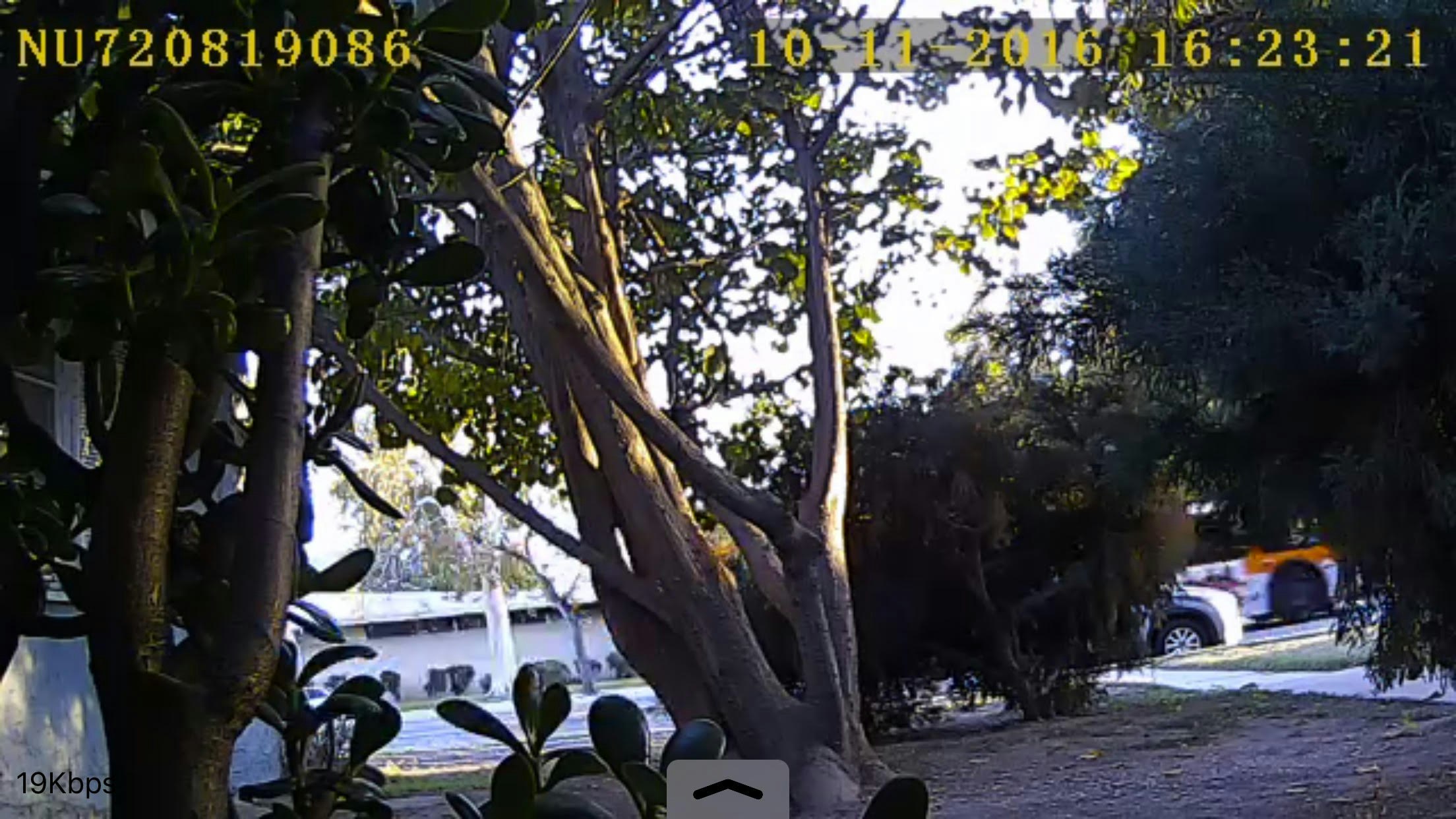 NuCam 720p gallery image