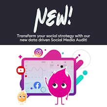 Infiniscape's Social Media Audit gallery image