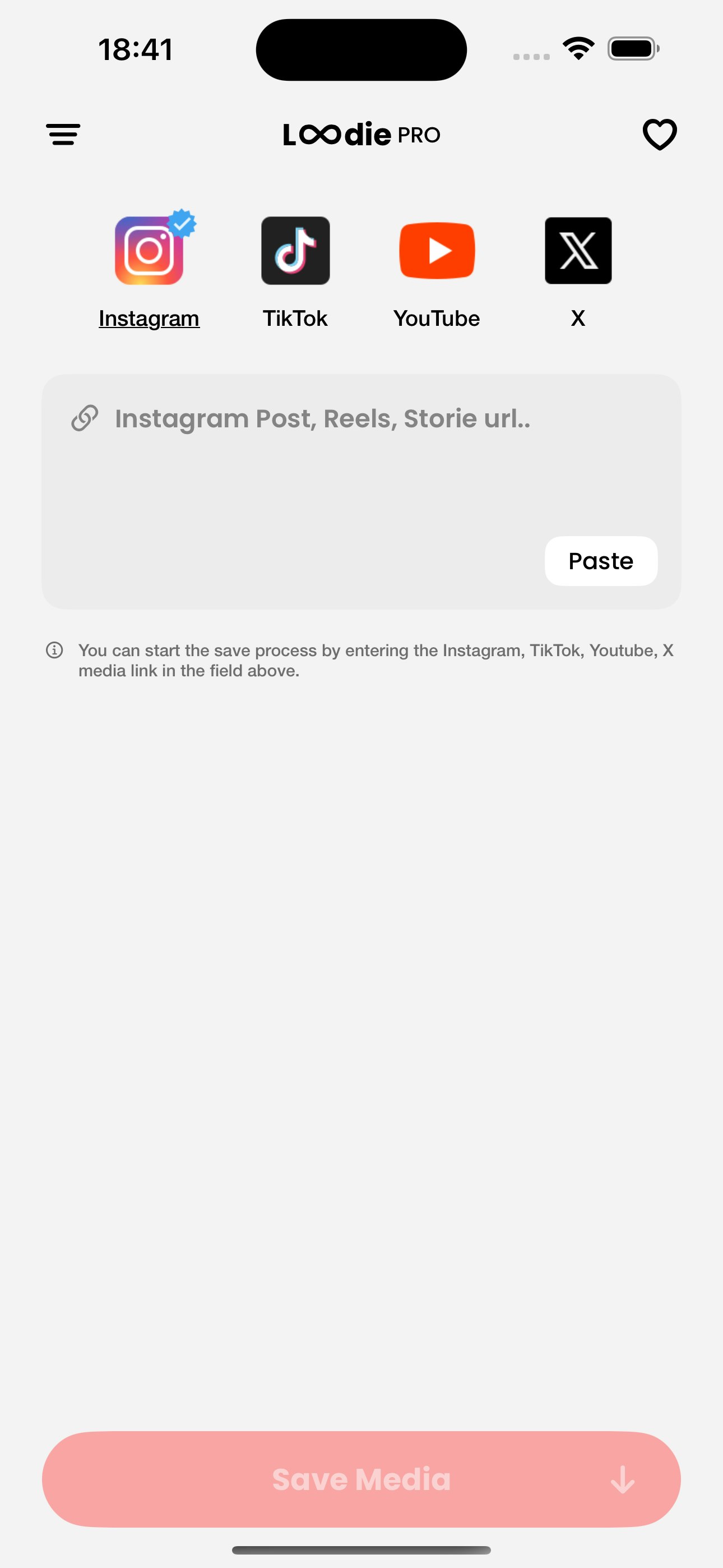 Loadie: Reel Story Video Saver Medien 1