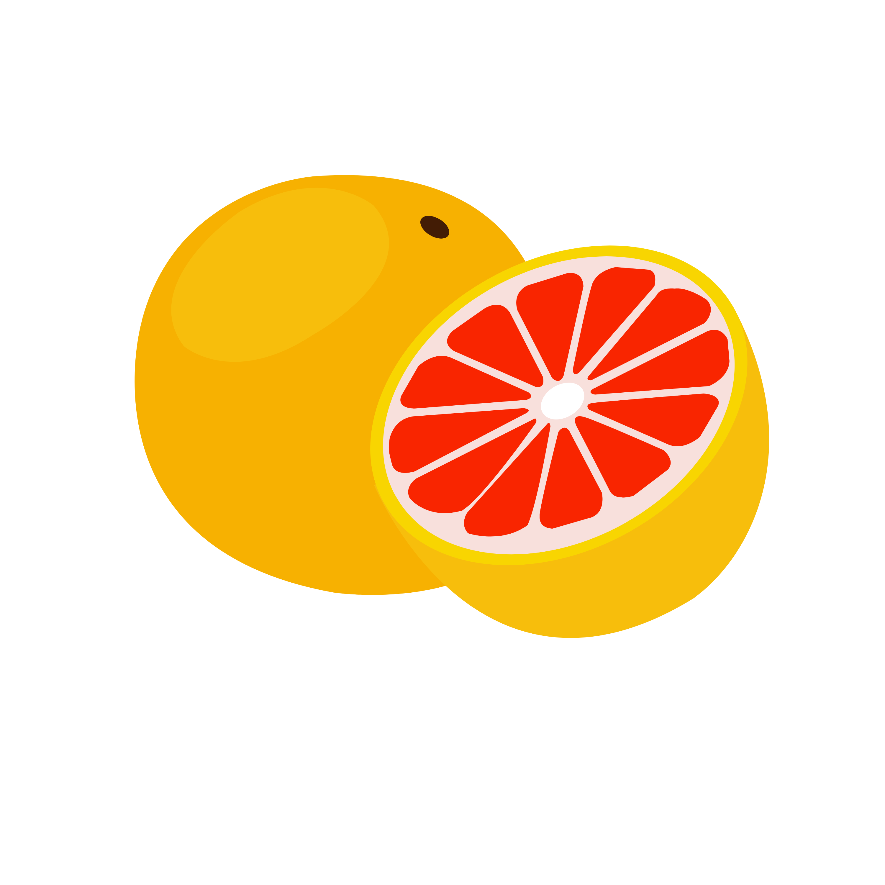 Pompelmi - Product Hunt launch logo and brand identity