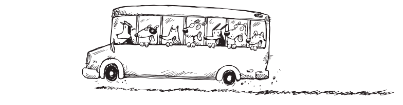 BarkBox gallery image