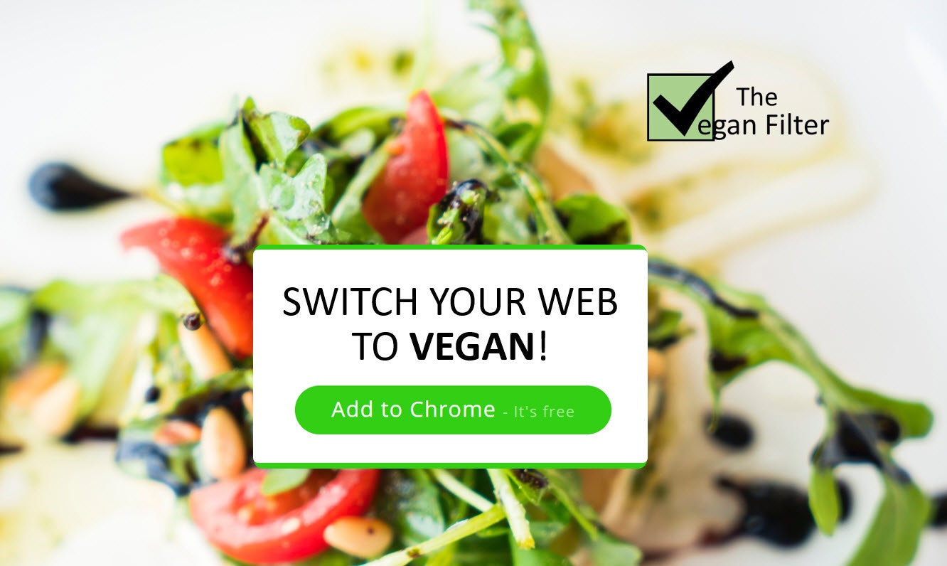 The Vegan Filter Image