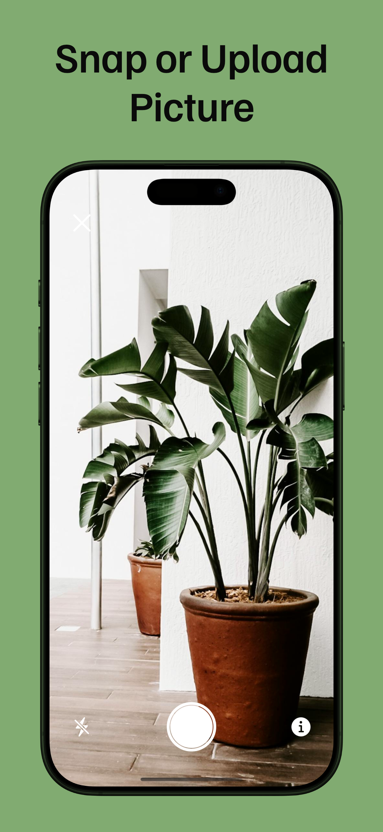 PlantLore media 2