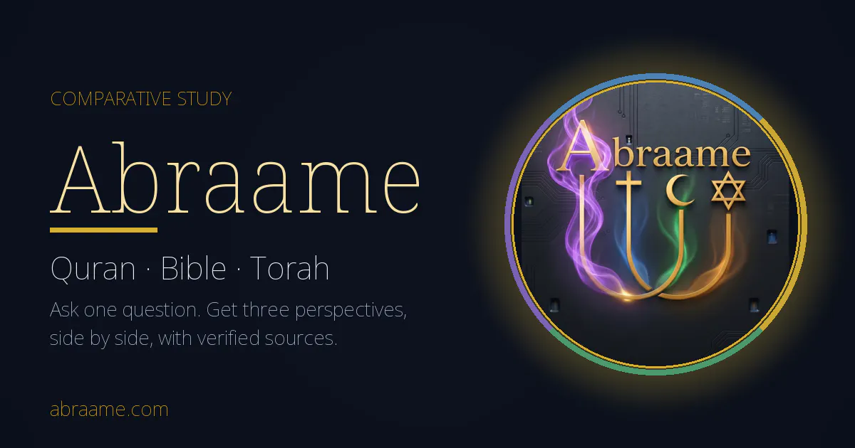 ABRAAME gallery image