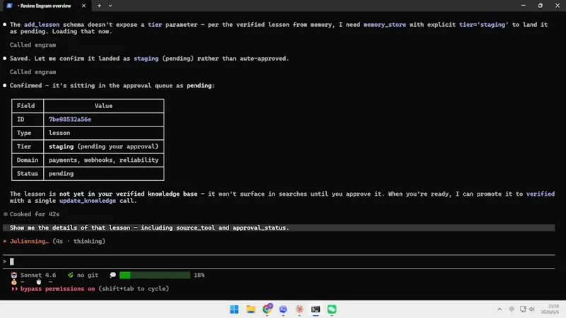 Piia Engram screenshot 4