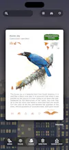Birdora gallery image