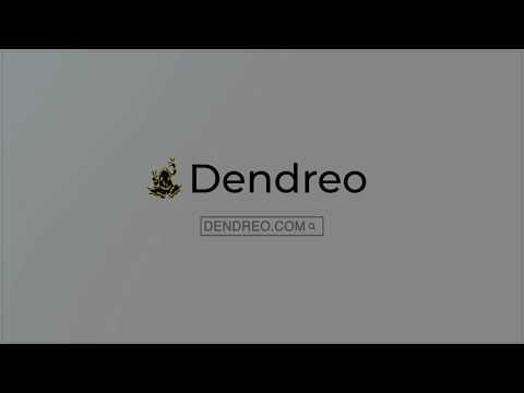 Dendreo gallery image