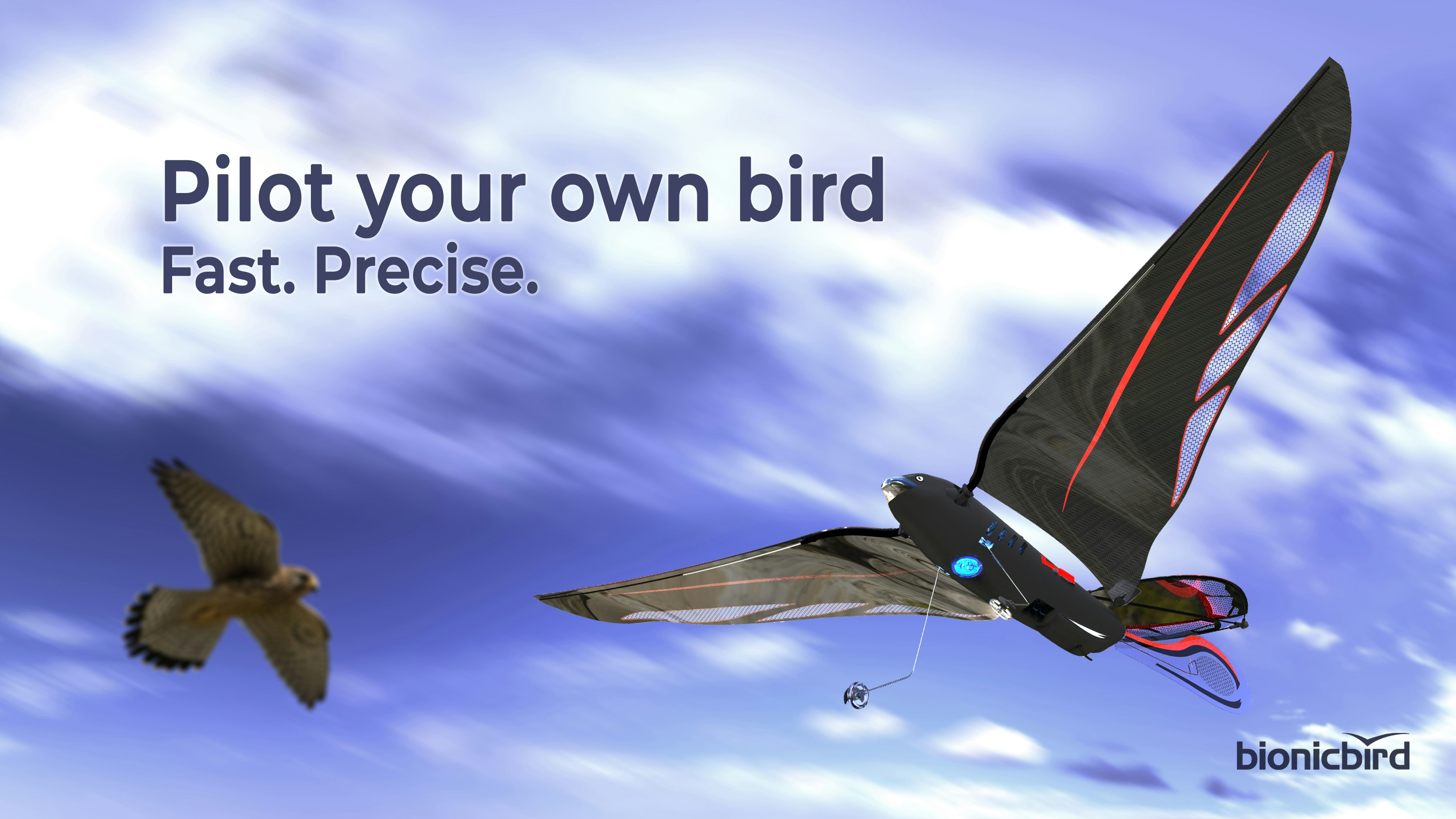 The Swift, bird-like flying robot gallery image