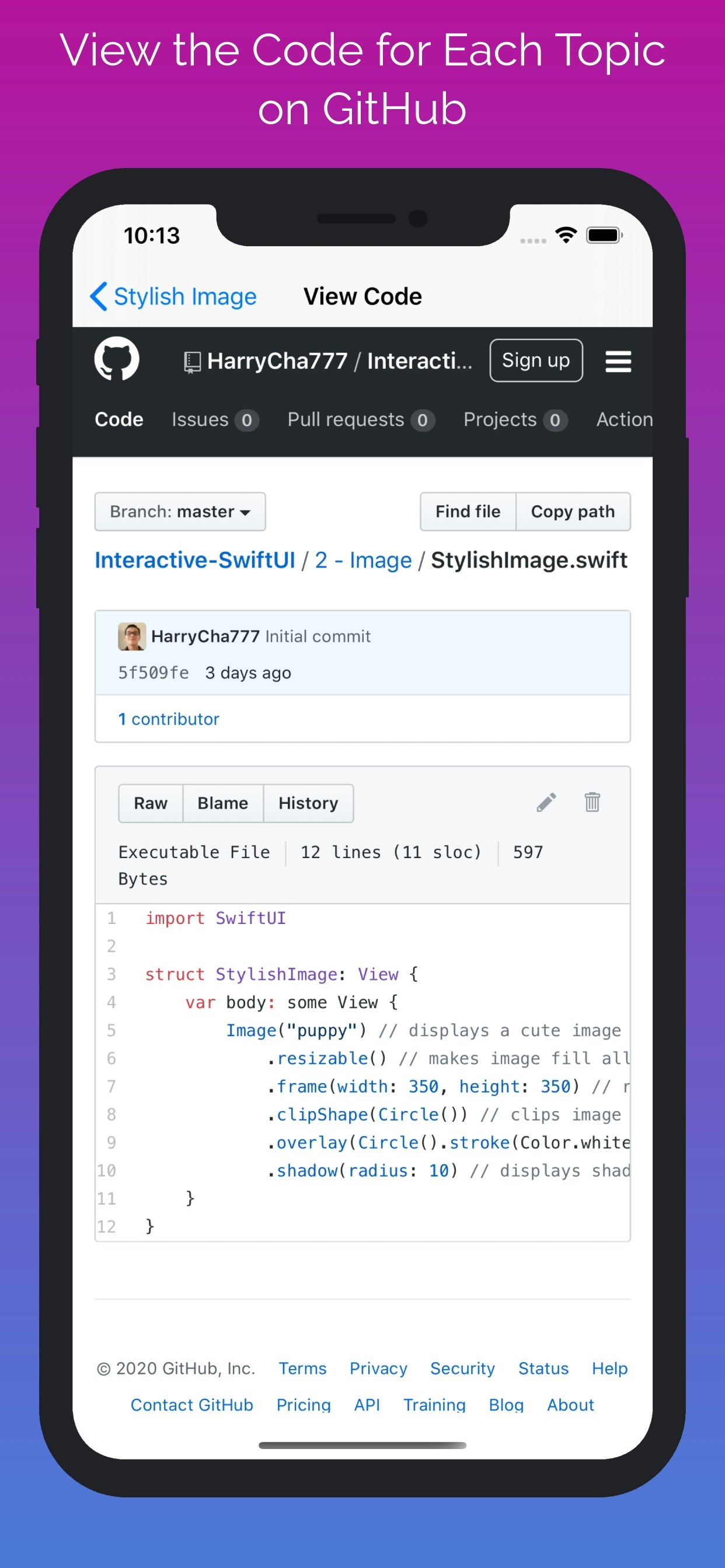 Interactive SwiftUI gallery image