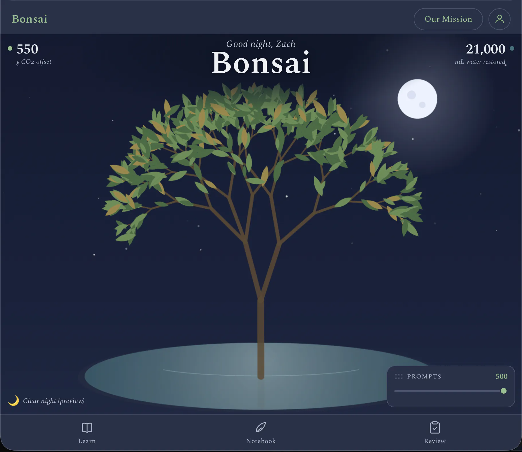 Bonsai gallery image