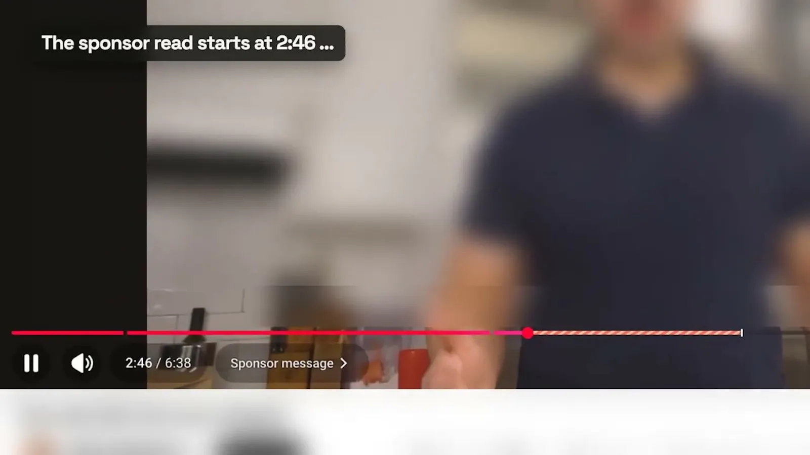 SponsorSkip screenshot 1 (video preview)