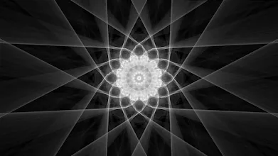 VeoLuz gallery image