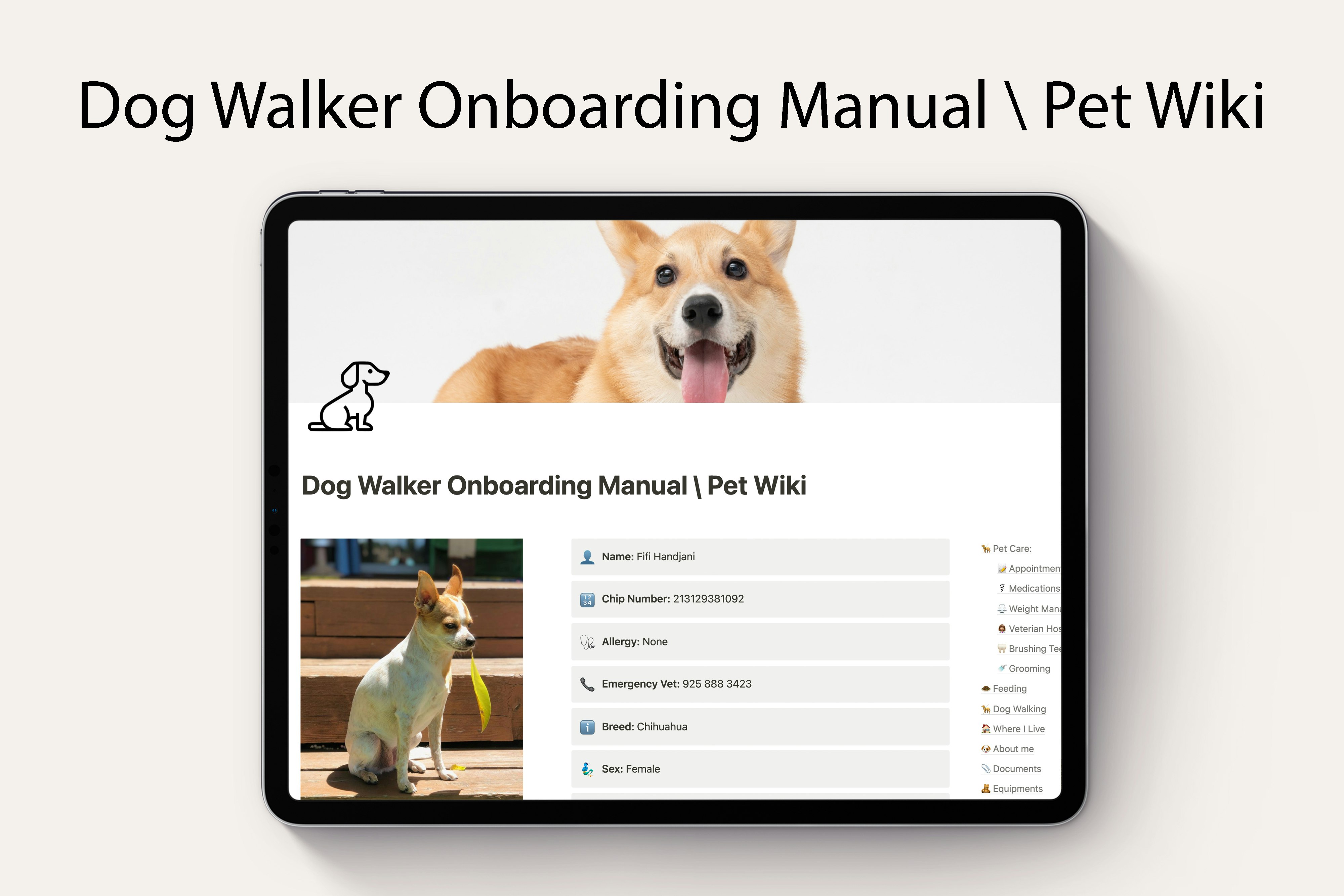 Собака для бортового руководства \ pet wiki - Шаблон понятия для владельца домашнего животного медиа 3