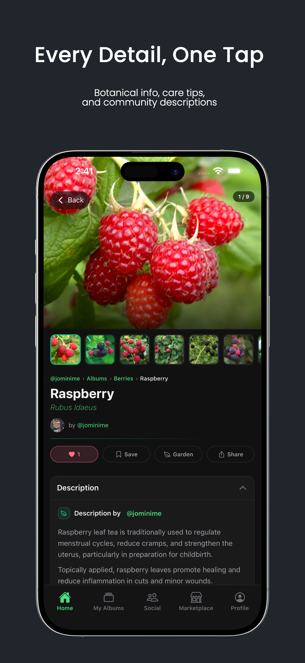 MyFloralVault gallery image