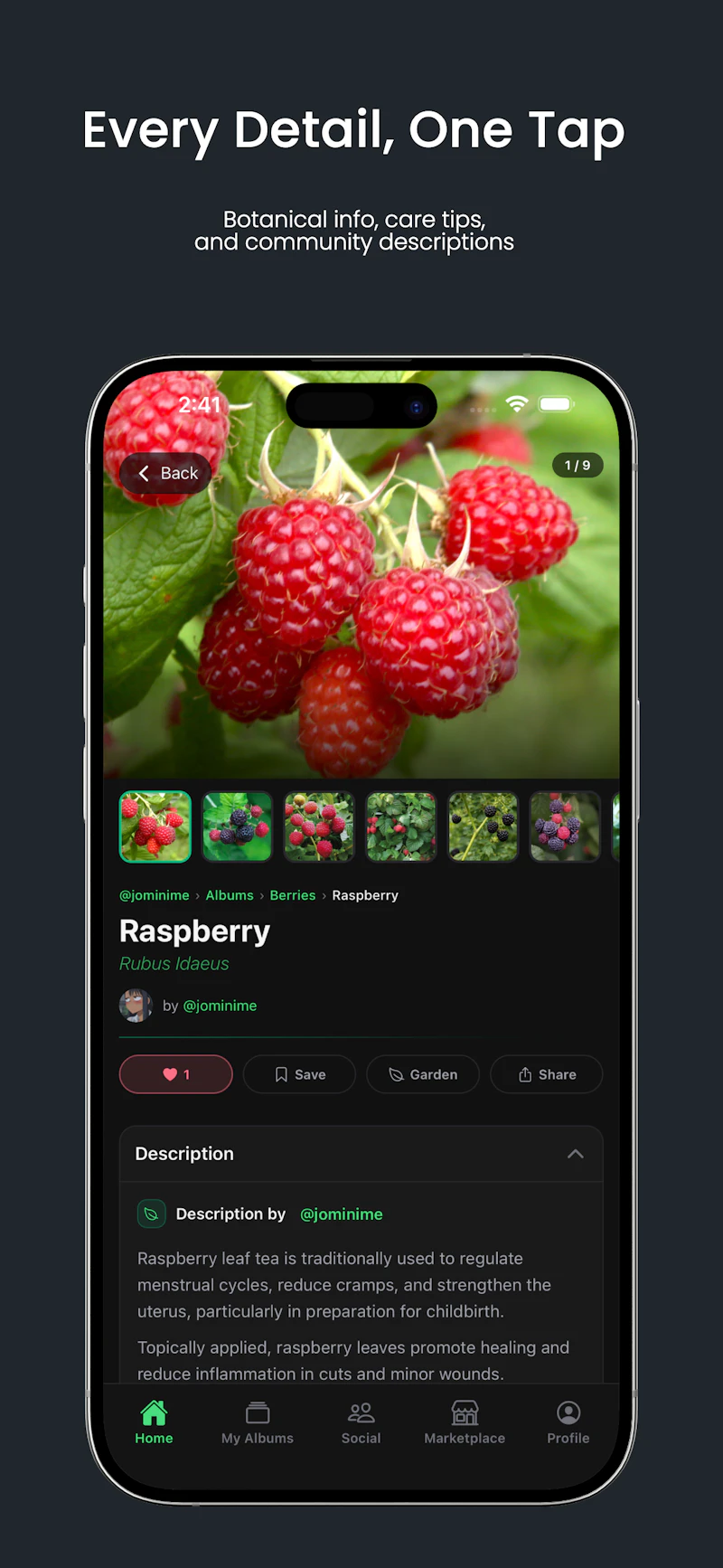 MyFloralVault screenshot 2