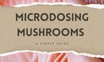 Microdosing Mushrooms: A Simple Guide image