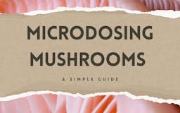 Microdosing Mushrooms: A Simple Guide media 1