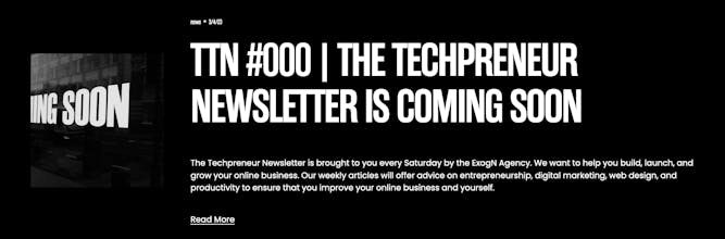 The Techpreneur Newsletter gallery image