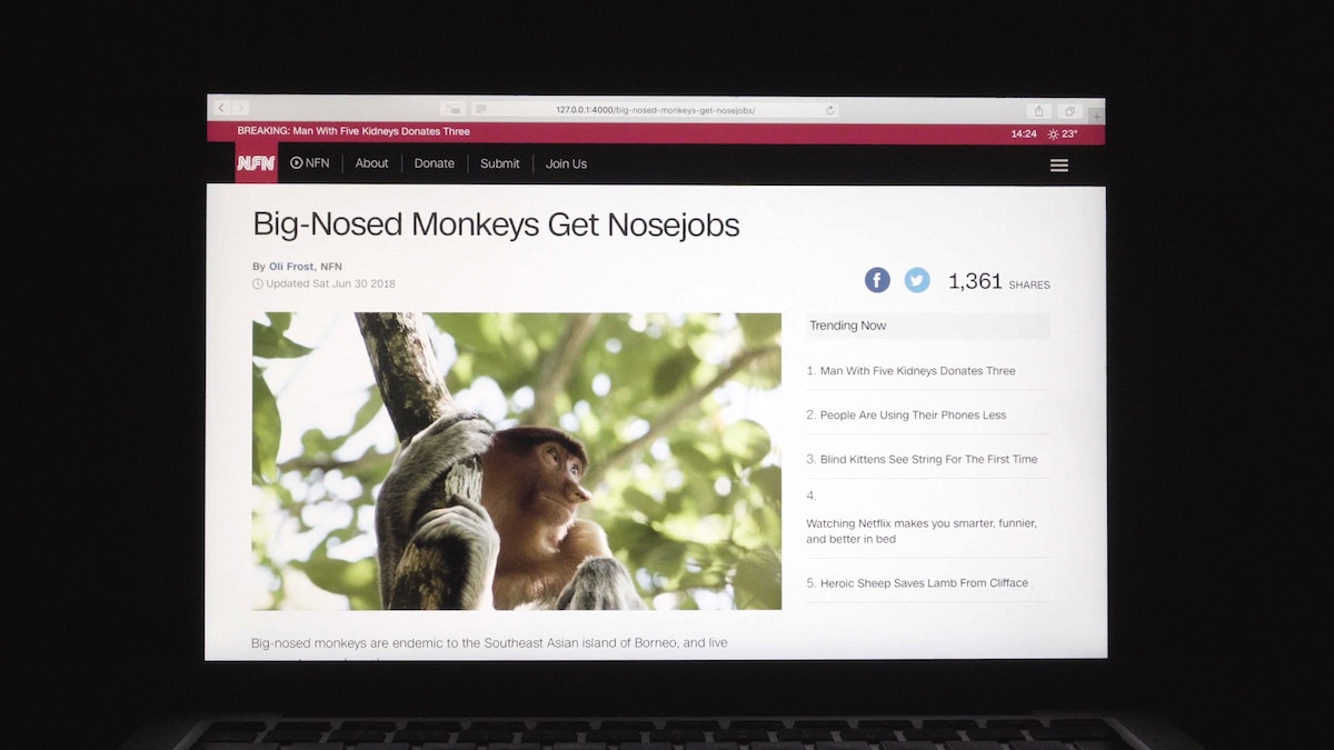 NFN (Nice Fake News) gallery image