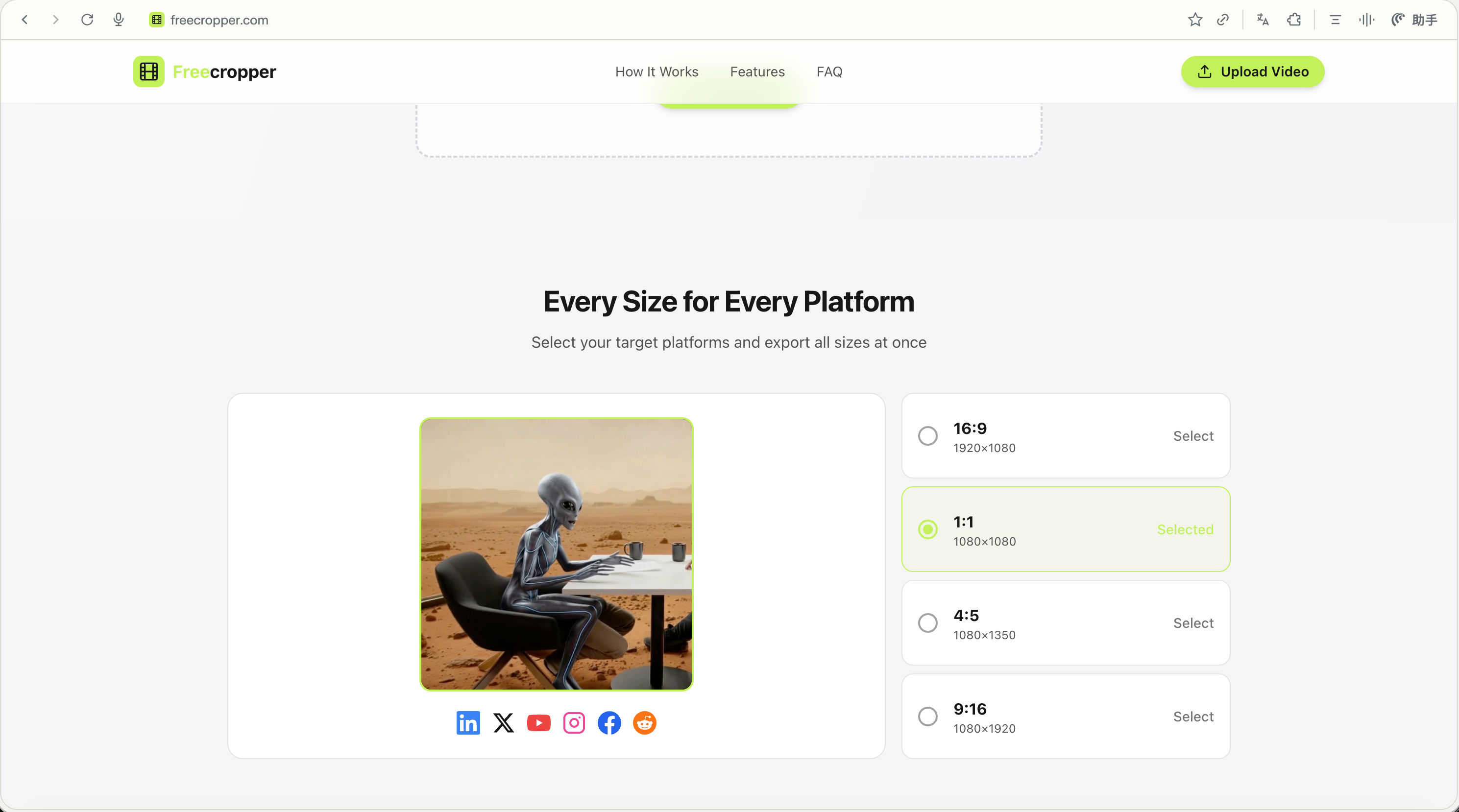 Freecropper – #1 Free video cropper gallery image