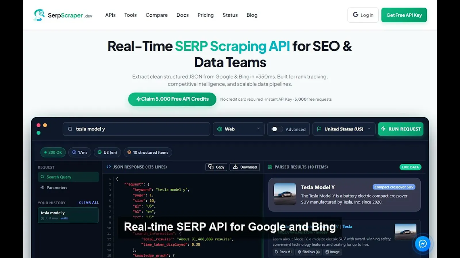 SerpScraper.dev screenshot 1 (video preview)