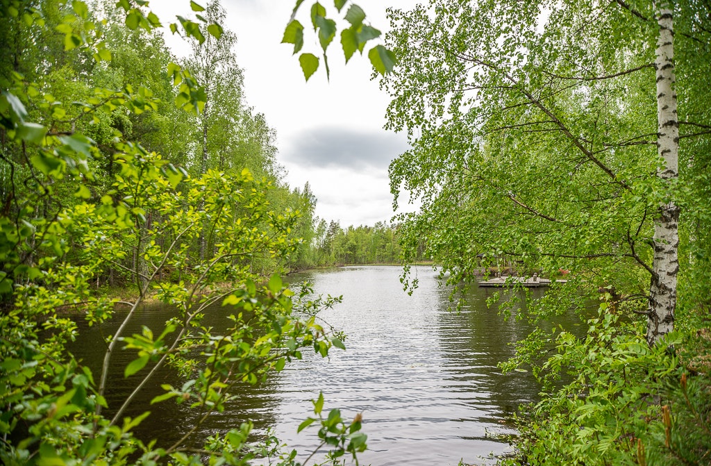 Camping gallery image