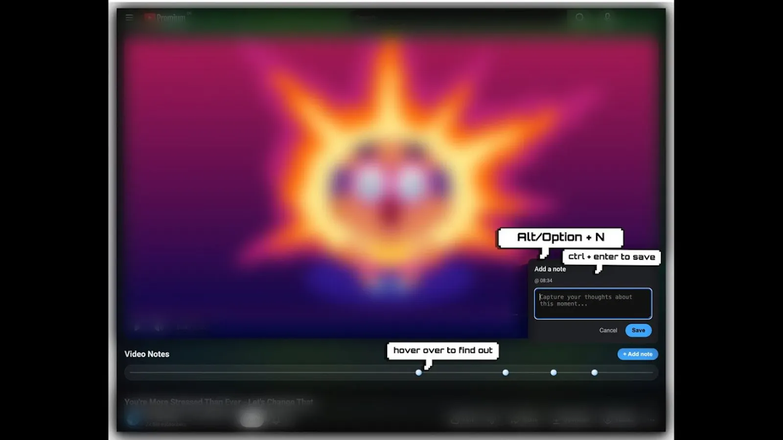 Video Notes screenshot 1 (video preview)
