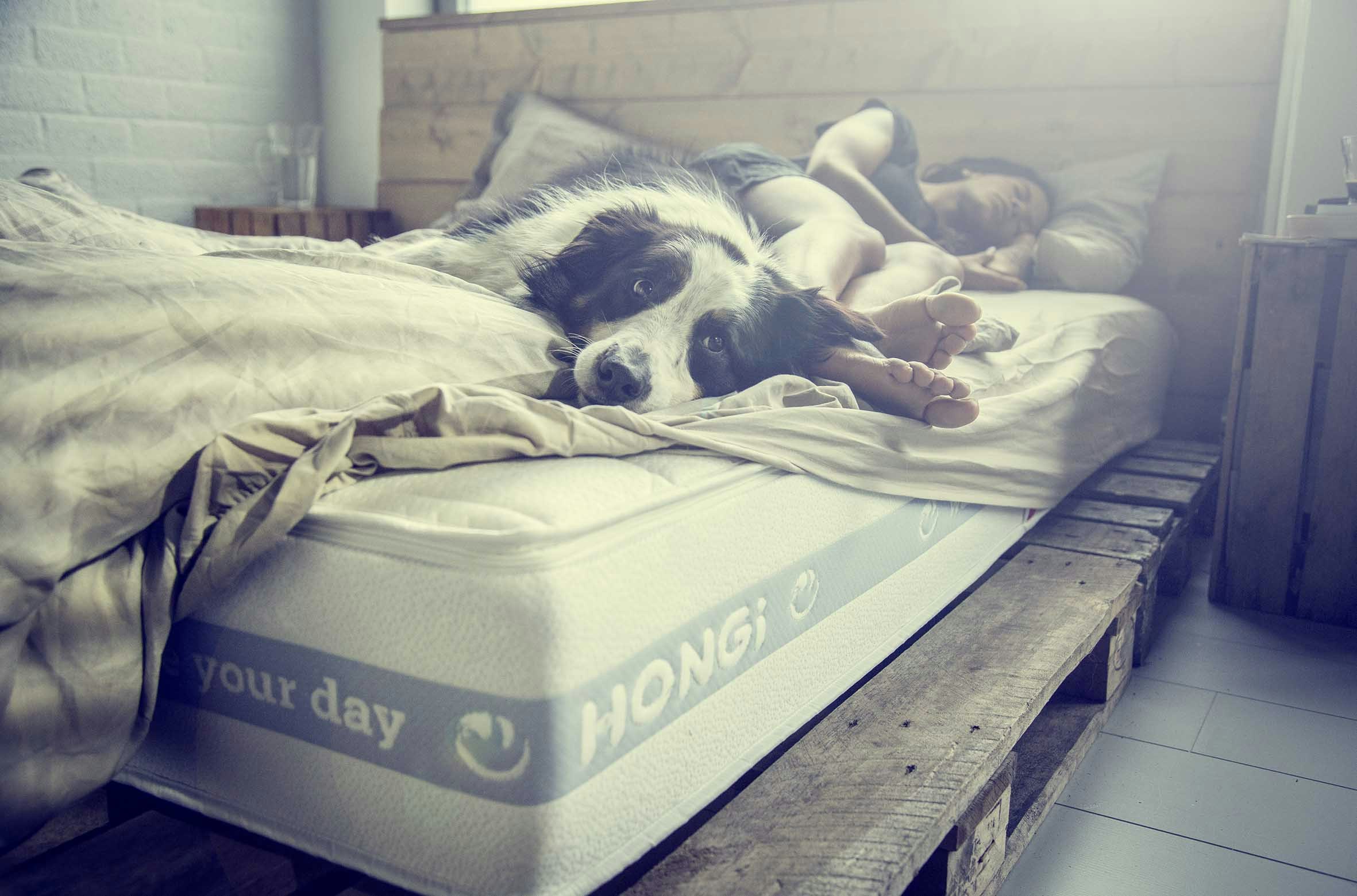 HONGi's Personalized and Modular Smart Mattress gallery image
