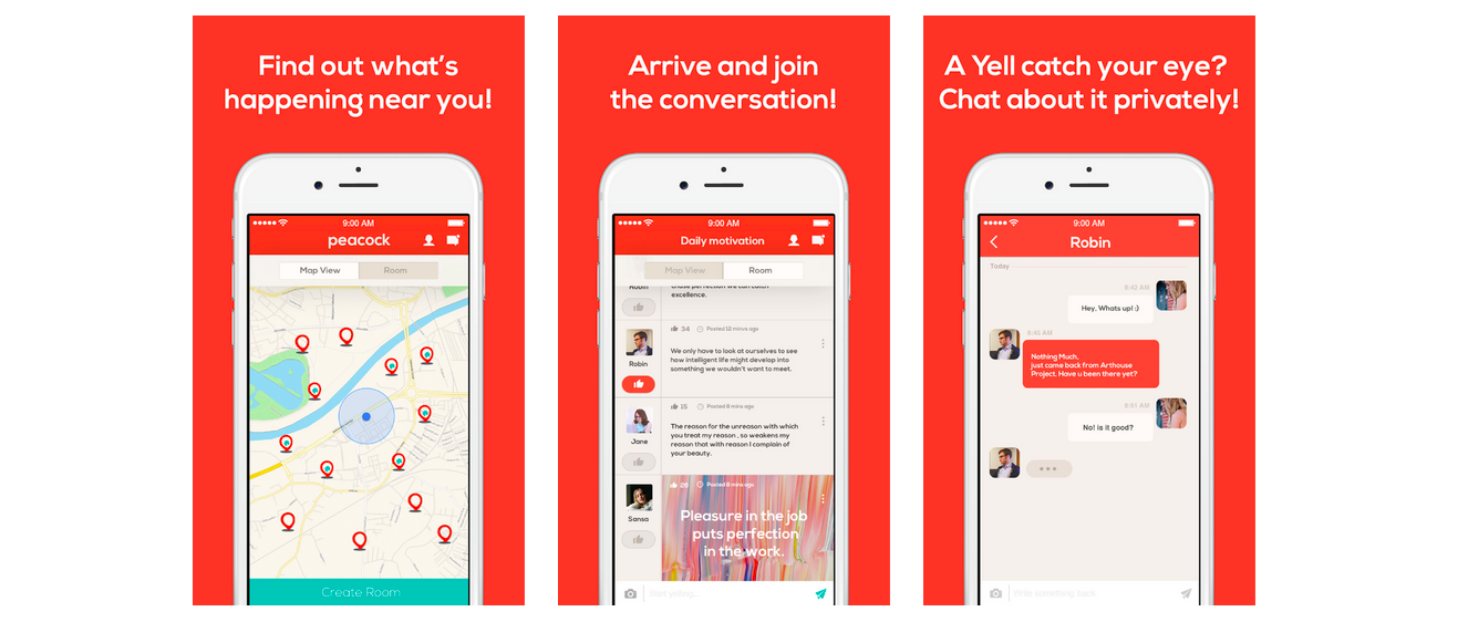 Peacock! gallery image