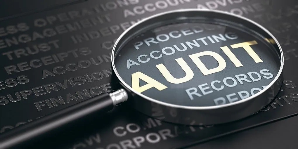 DCAA audit logo