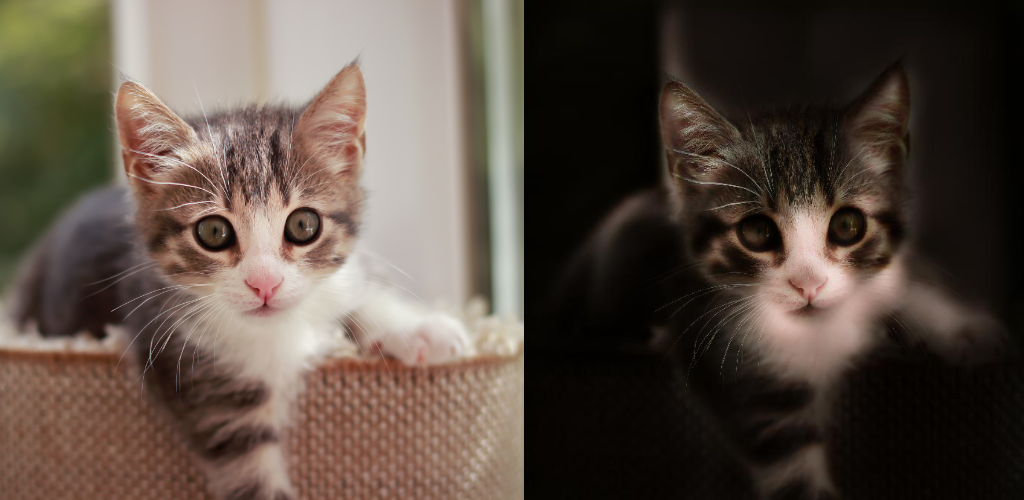 Relight AI: ภาพส่องสว่าง media 3