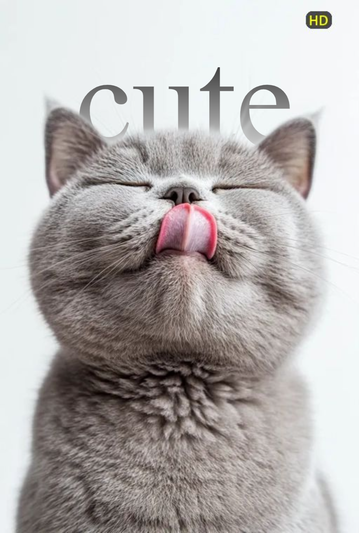 Text Behind Image  gallery image