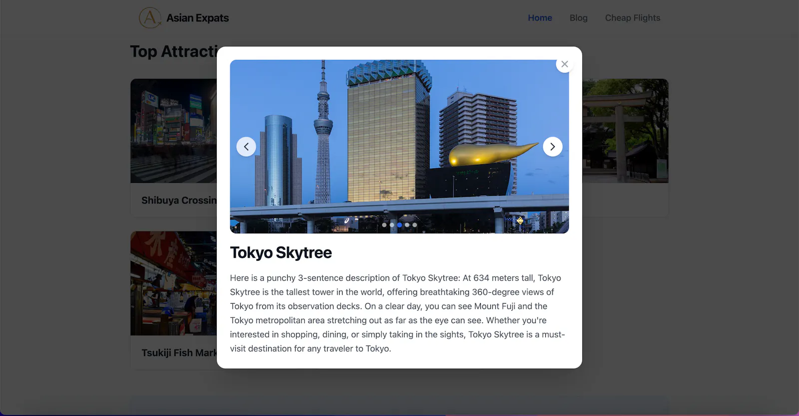 Asian Expats screenshot 7