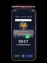 OWL THAT WISE gallery image