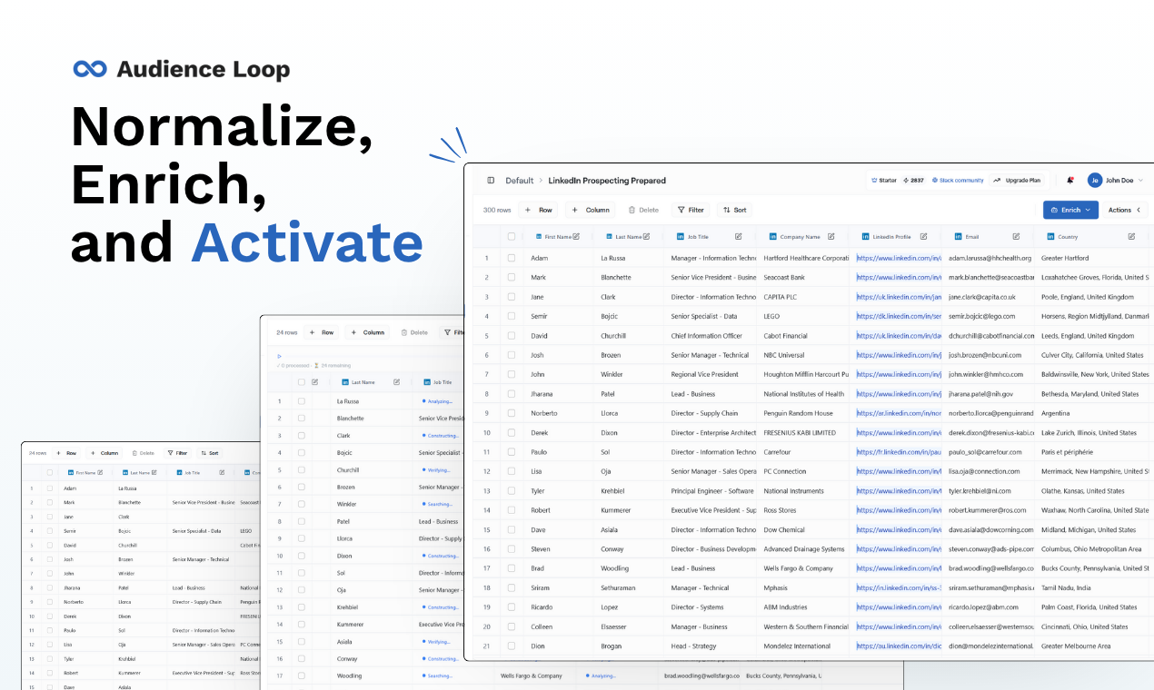 Audience Loop gallery image