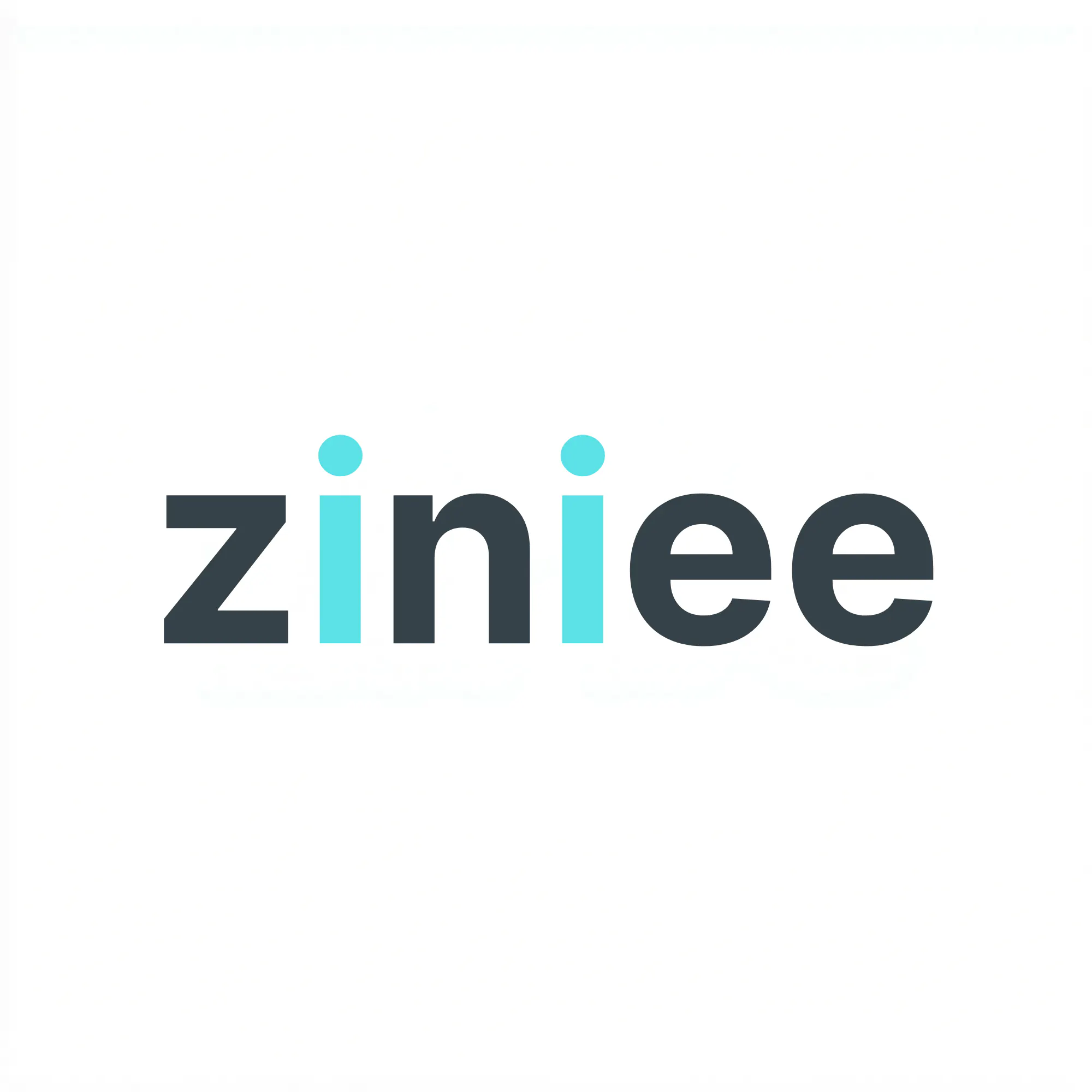 Ziniee CRM