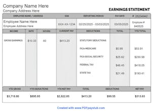 PDFPayStub.com gallery image
