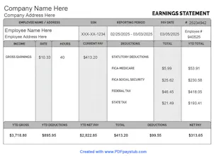 PDFPayStub.com gallery image