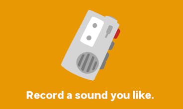 Shake Ups gallery image