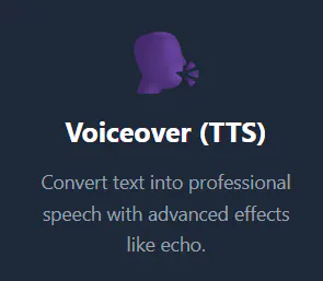 Voice and Vid gallery image