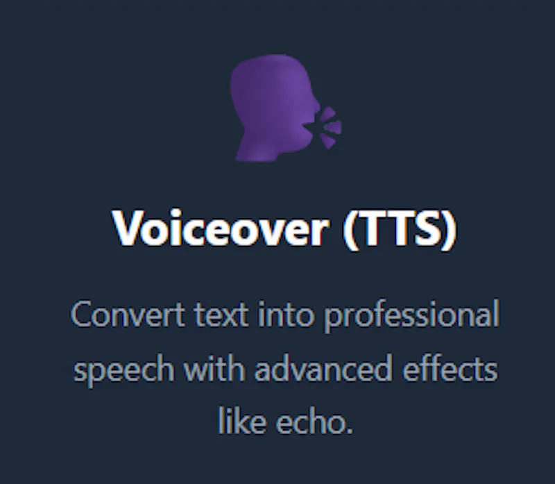 Voice and Vid screenshot 3