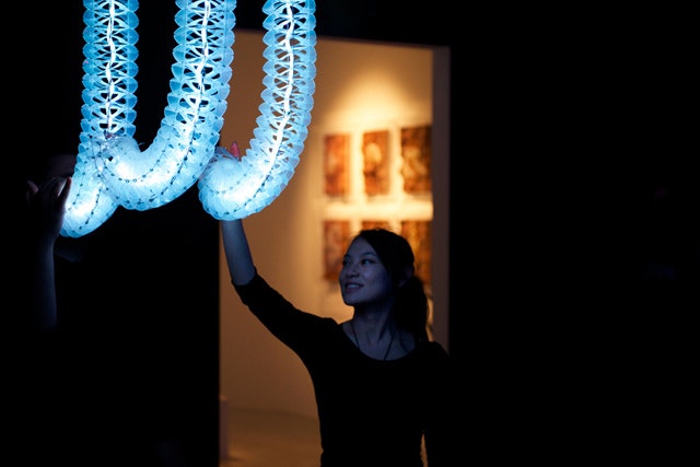 Petting Zoo FRAC Centre gallery image