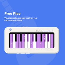 Maestro Pitch gallery image