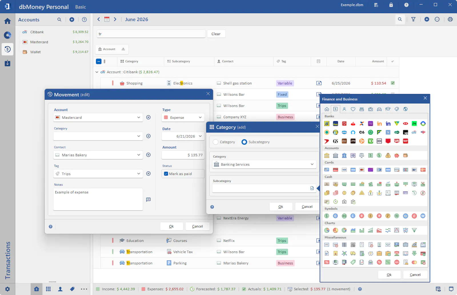 dbMoney Personal screenshot 5